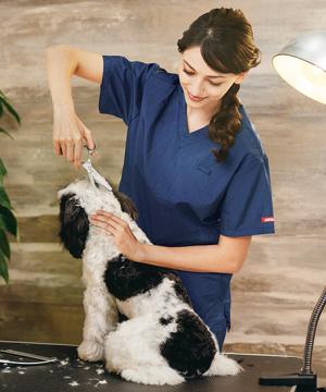 【全2色】スクラブ（撥水・消臭・男女兼用）