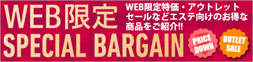 WEB限定SPECIAL BARGAIN特集