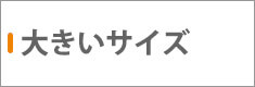 大きいサイズあり