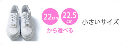 小さいサイズあり